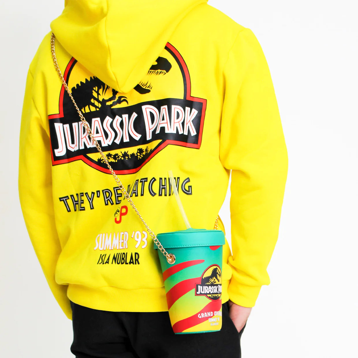 H&m jurassic park hoodie on sale